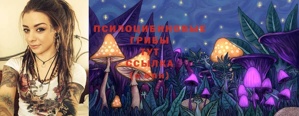 бутират Магадан