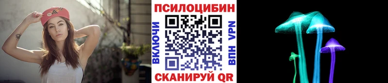 Купить  Коряжма  Псилоцибиновые грибы Psilocybe 